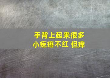 手背上起来很多小疙瘩不红 但痒